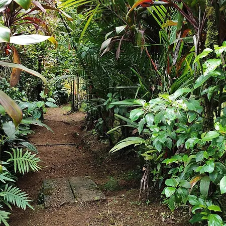 Rio Celeste Nature View Upala Exterior photo