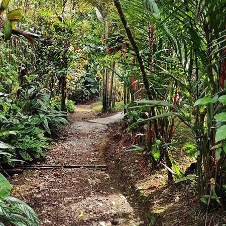 Rio Celeste Nature View Upala Room photo