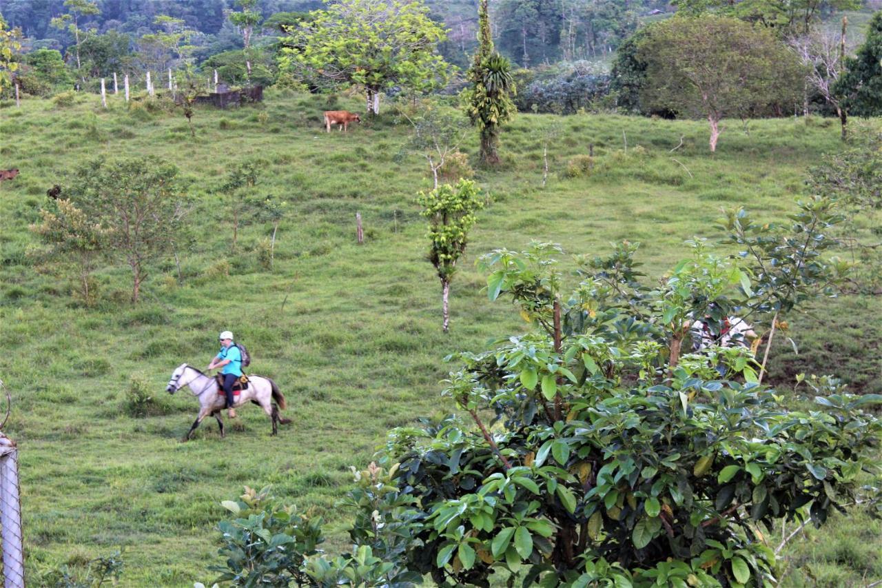 Apartment Rio Celeste Nature View