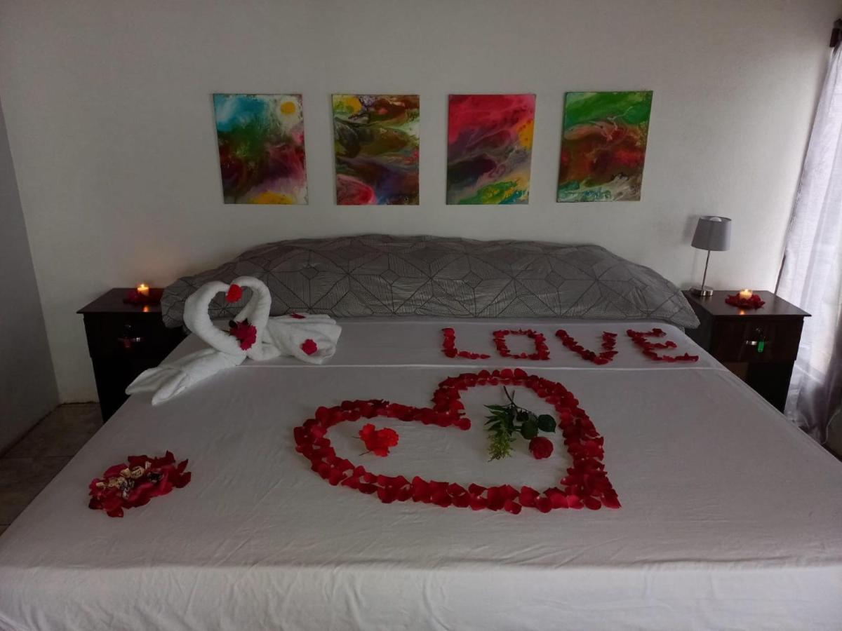 Rio Celeste Nature View Apartment