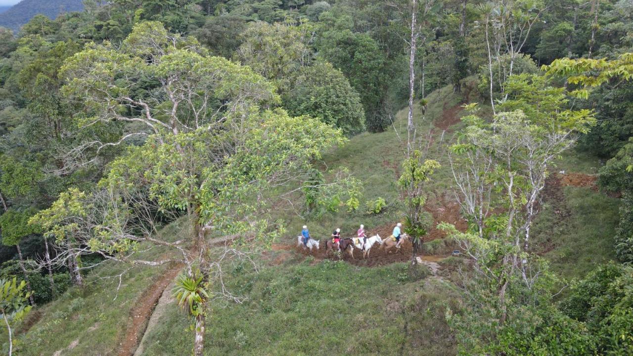 Apartment Rio Celeste Nature View