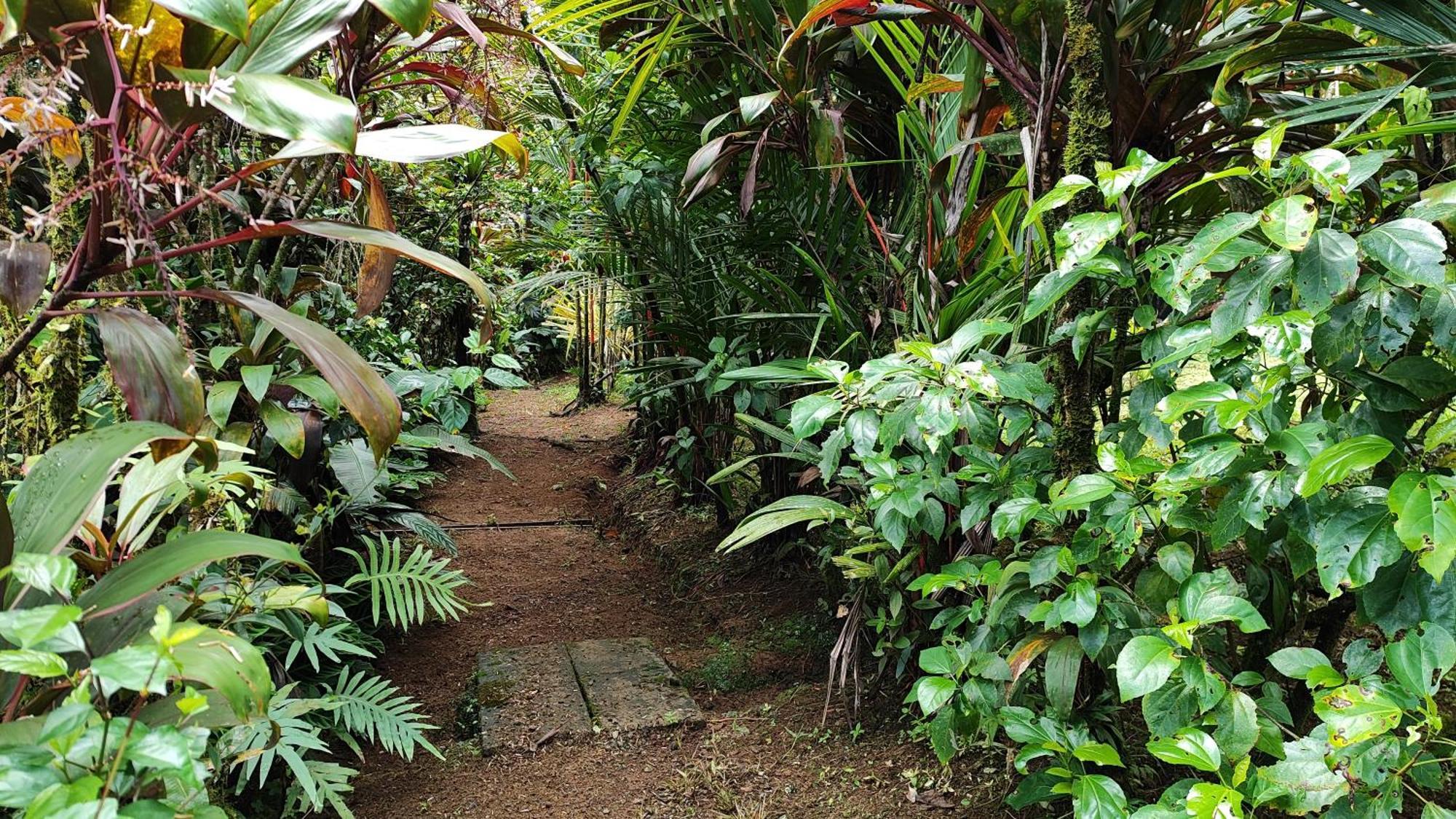 Rio Celeste Nature View Apartment *