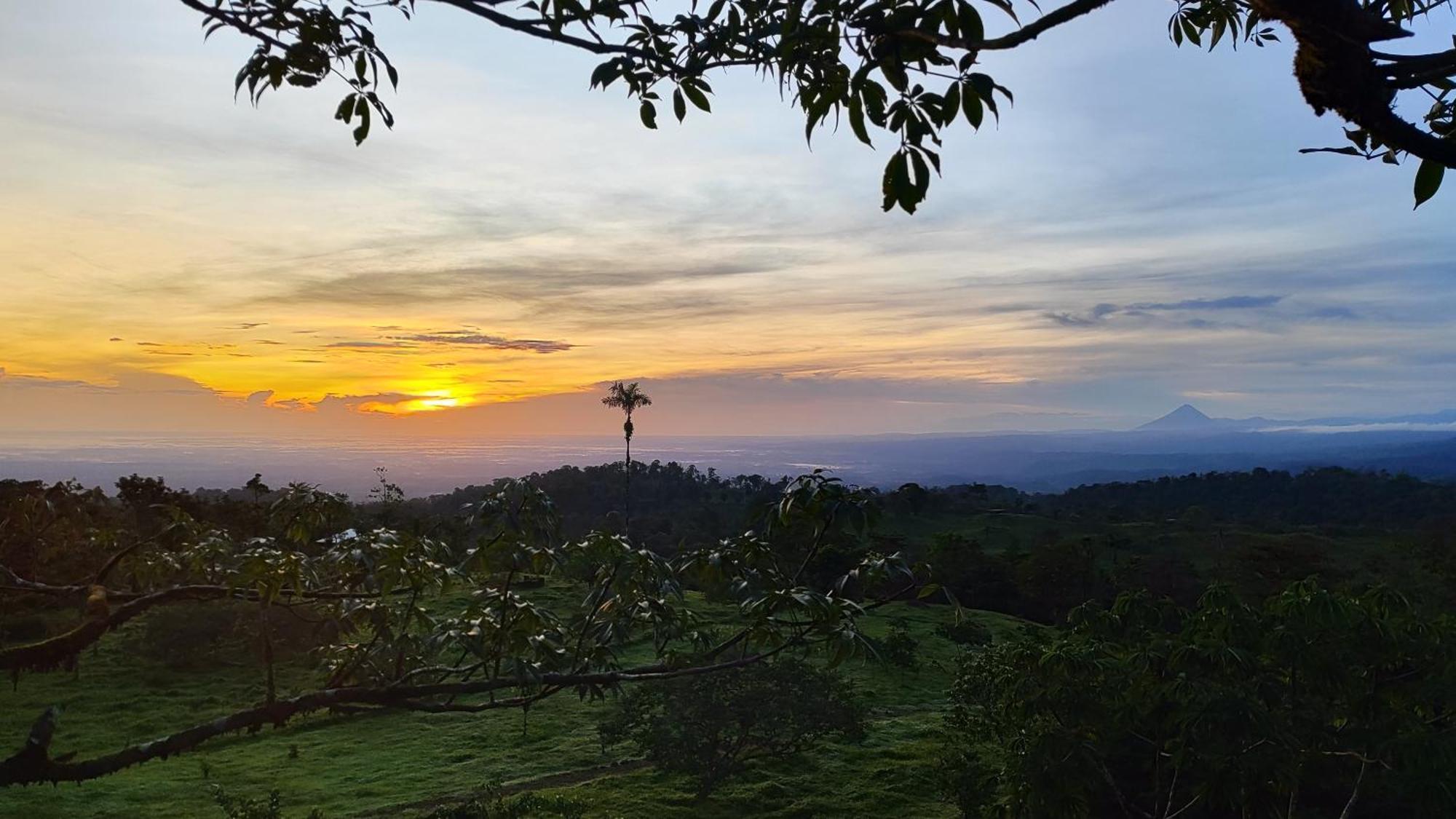 Rio Celeste Nature View *