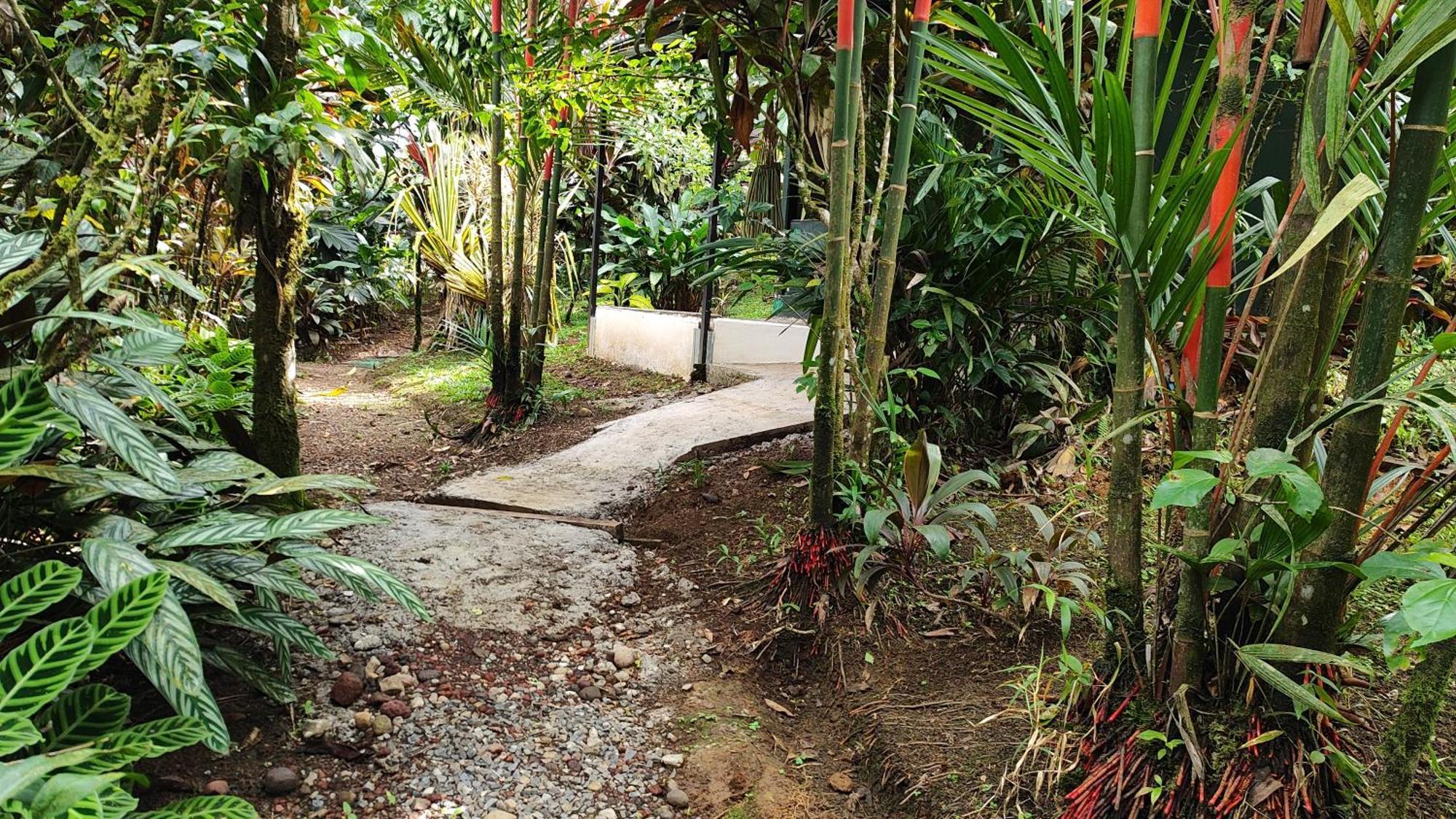 Rio Celeste Nature View Upala