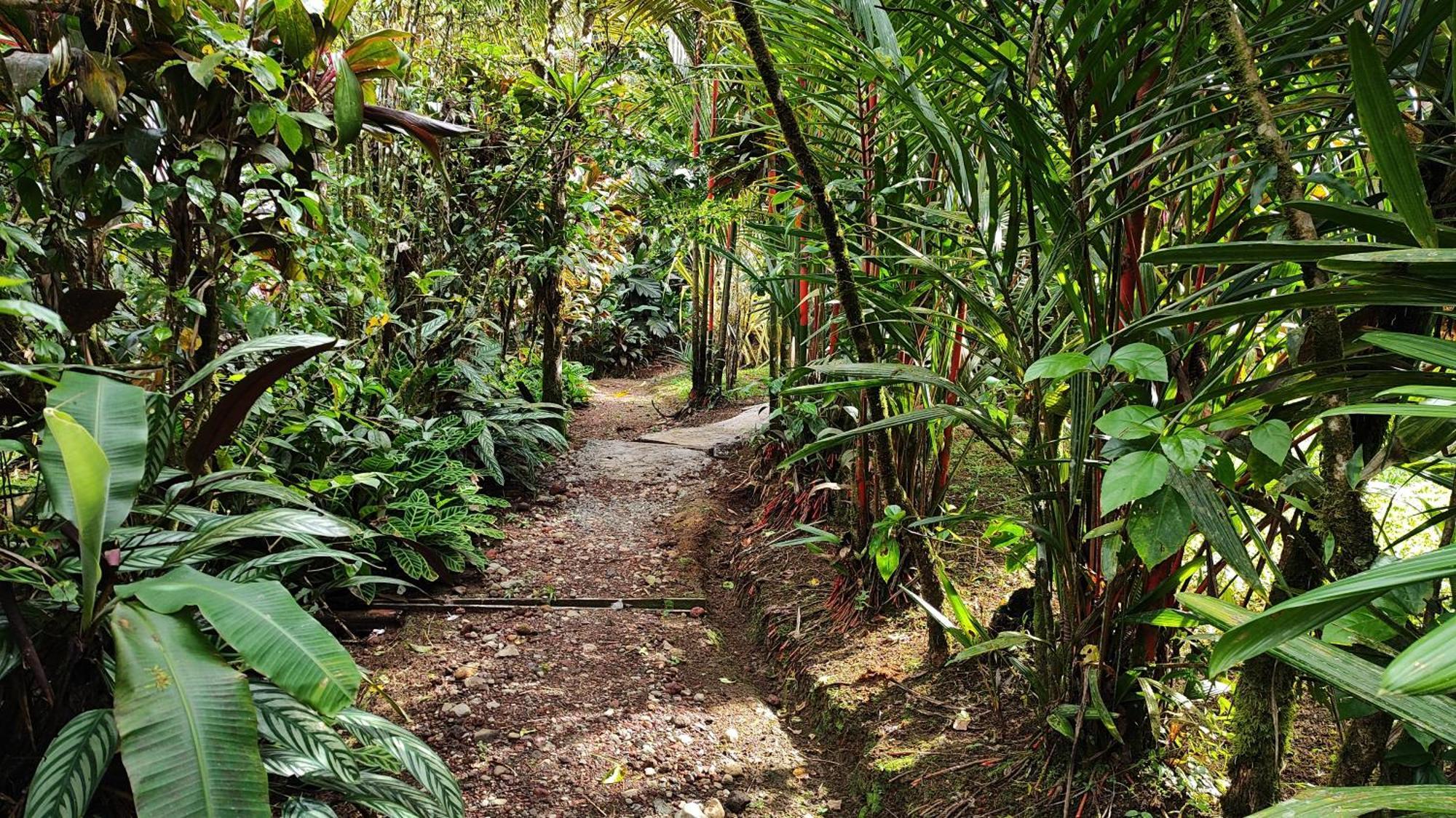 Rio Celeste Nature View * Upala